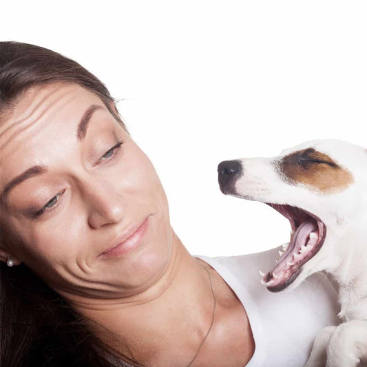 bad dog breath