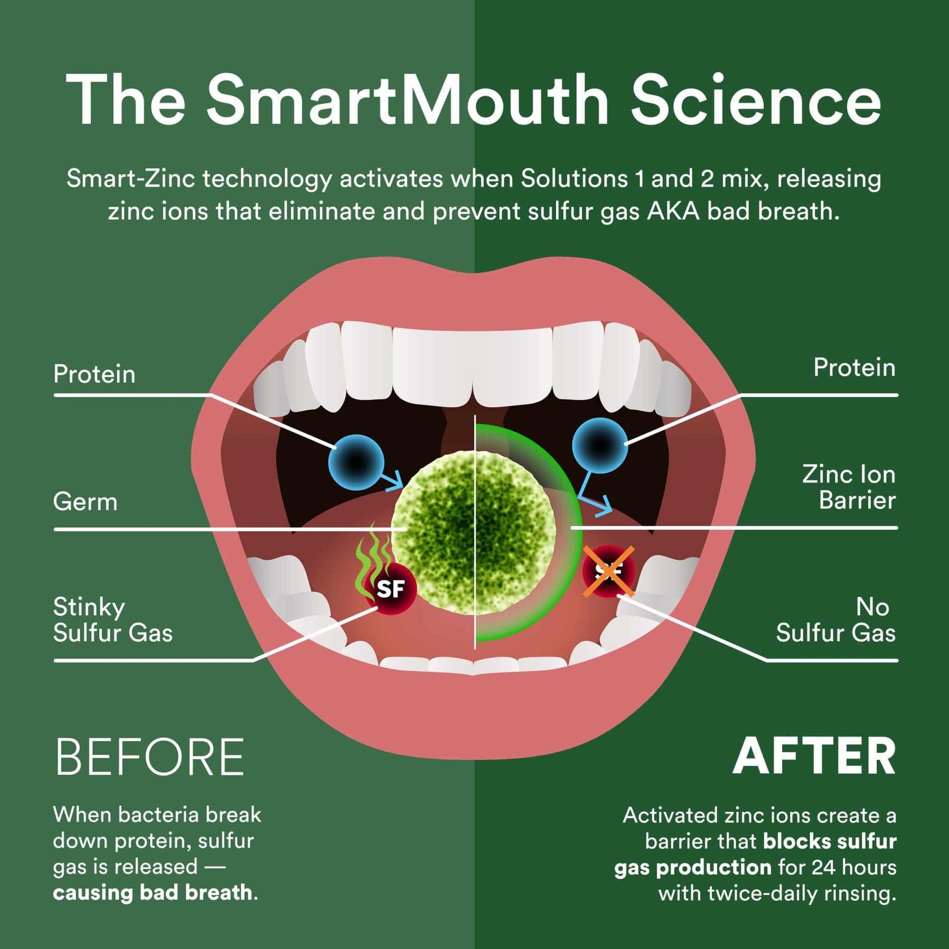 SmartMouth™ Original Activated Mouthwash (16oz) - Image 4