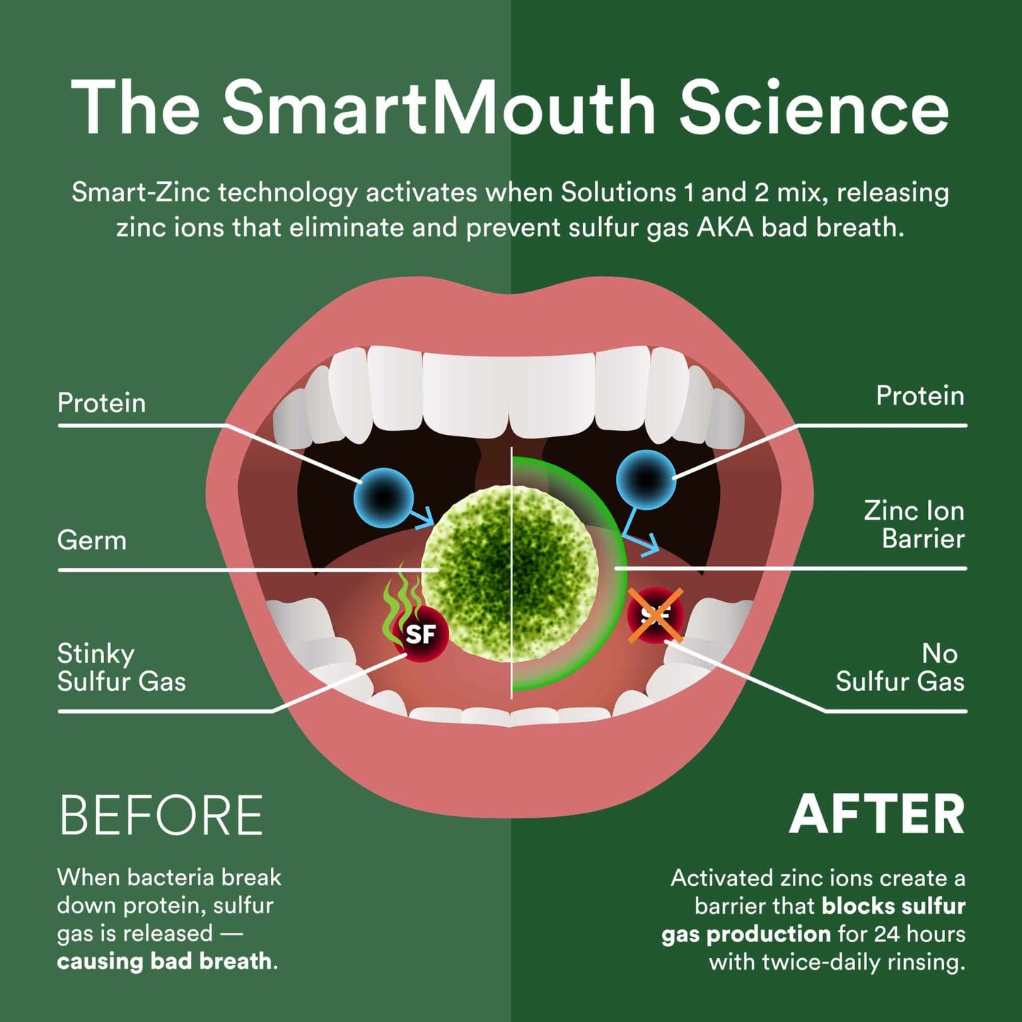 SmartMouth™ Gum Health Activated Mouthwash (16oz) - Image 4