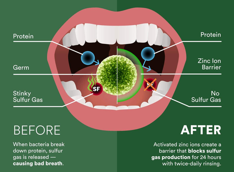 The Science Behind Fresh Breath